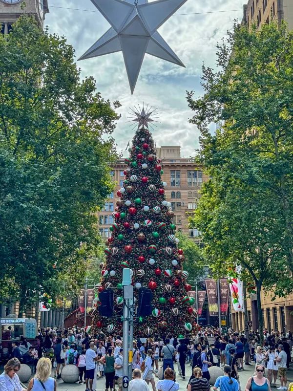 Sydney's Martin Place Hosts the Southern Hemisphere's Tallest Christmas Tree