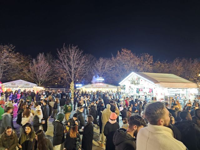 Experience the French Romance at the Tuileries Christmas Market in Paris
