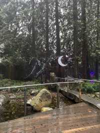 Experience the Thrill of Capilano Suspension Bridge Park