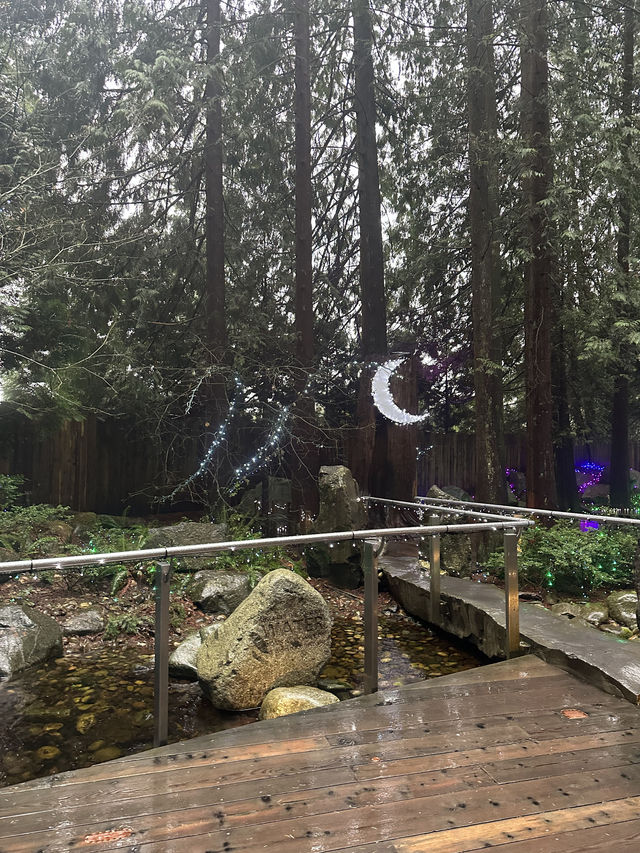 Experience the Thrill of Capilano Suspension Bridge Park
