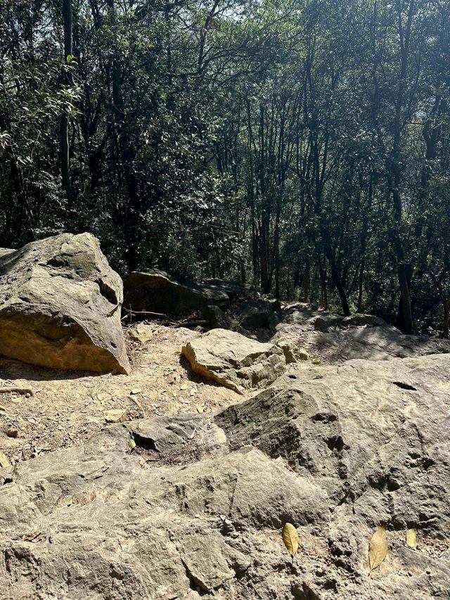 余杭娘娘山 | 爬「小富士山」| 90°先算牆 89°都算斜坡