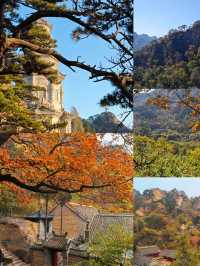 千萬不要去千山旅遊五星級旅遊景點值得打卡