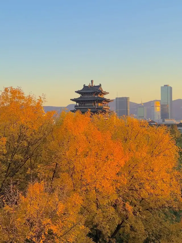 Jinan–Mount Tai–Qufu, Shandong | 3-Day Tour of Highlights, Quick Guide