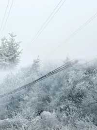 7元的小火車！駛入浪漫的雪國