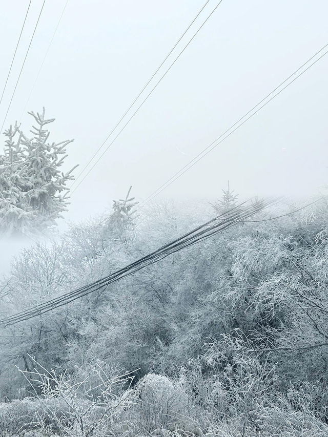 7元的小火車！駛入浪漫的雪國