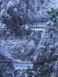 莽山五指峰 | 霧凇奇景，人間仙境