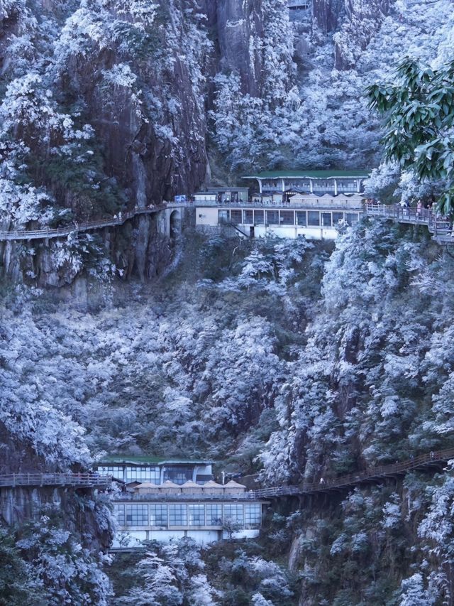 莽山五指峰 | 霧凇奇景，人間仙境