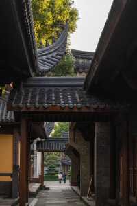 寧波七塔寺銀杏終於要黃了還有0r蓋章