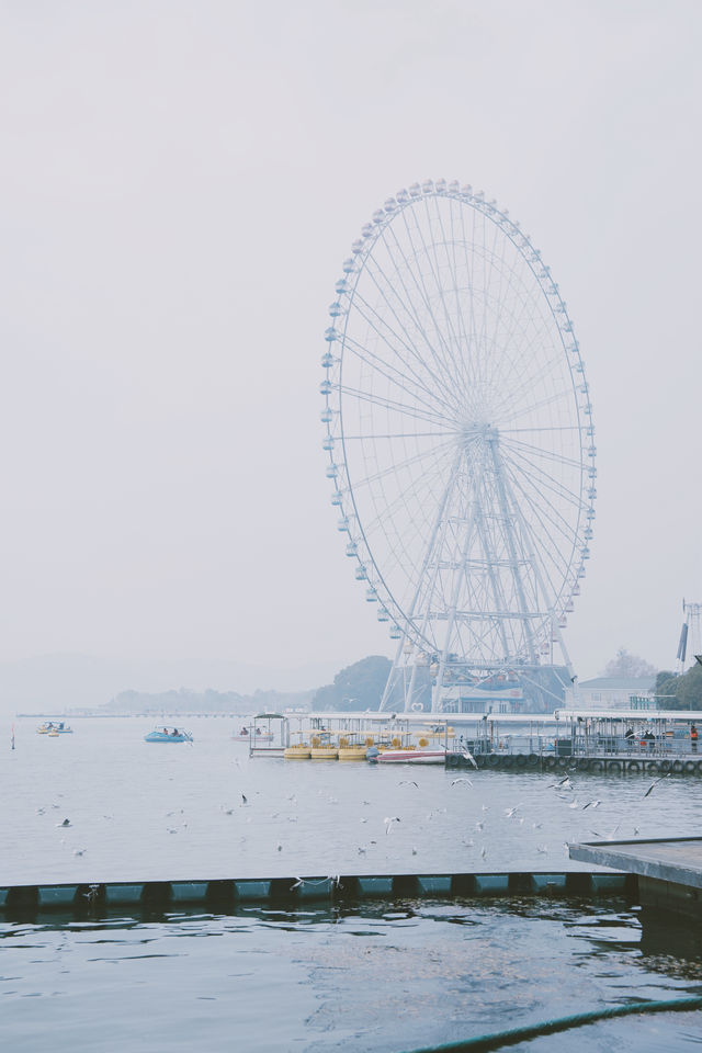 無錫一日遊攻略｜餵海鷗逛古鎮坐纜車