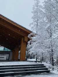 重慶主城1.5小時直達 四面山私湯小院太絕