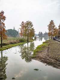 青西郊野公園