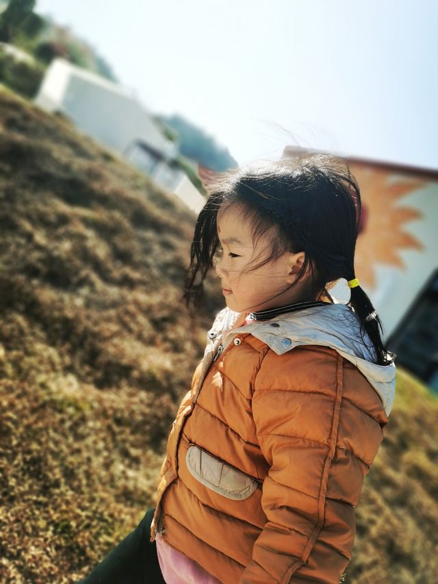 節前小遊～寧靜的花田美地
