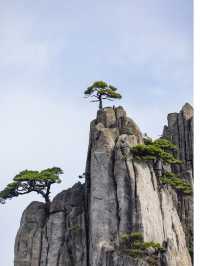 黃山兩日遊攻略！適合體力不行的朋友！