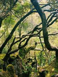 Jindaoxia Adventure: A Trilling Canyone World