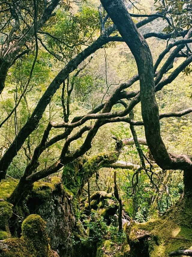 Jindaoxia Adventure: A Trilling Canyone World