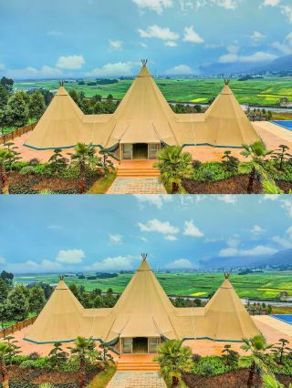 Stay in a sea of flowers and embrace nature | Glamping tent hotel