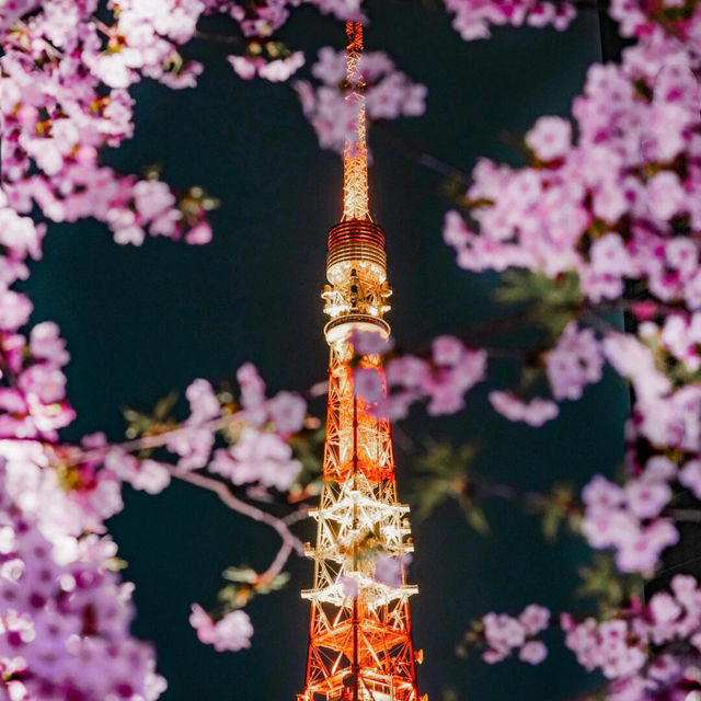 再過一個月🌸東京這5️⃣個地方將櫻花滿開！！