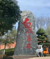 白鹿森林公園一日遊攻略，帶你暢玩！