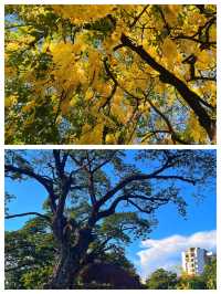 探秘菲律賓巴賽市：一場日落與海洋的浪漫邂逅