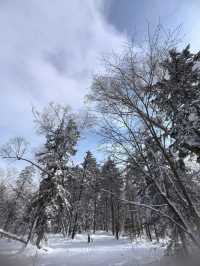 哈爾濱-雪鄉帶孩子滑雪超詳細攻略不看後悔
