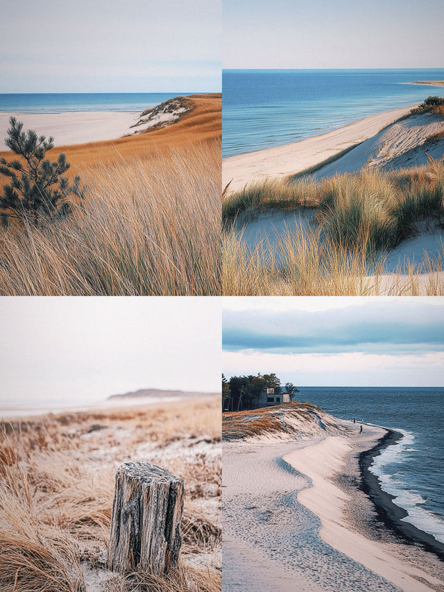 Indiana Dunes State Park 