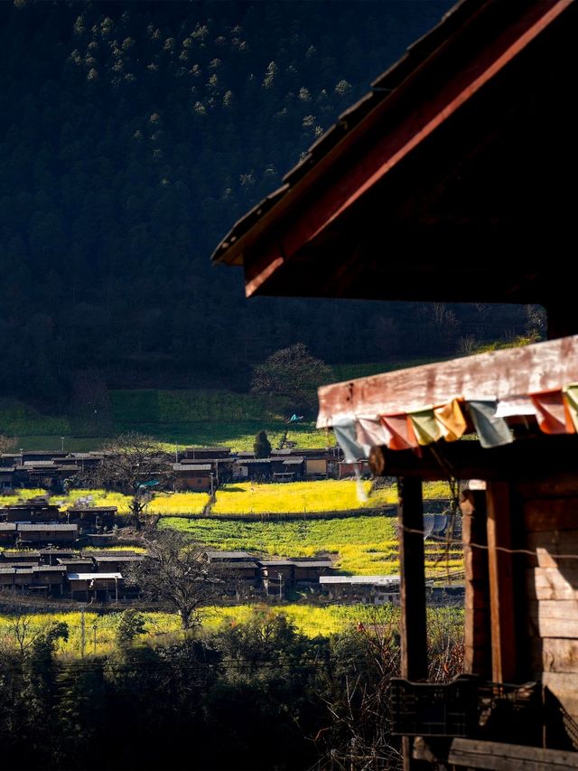 雲南3月最美的地方