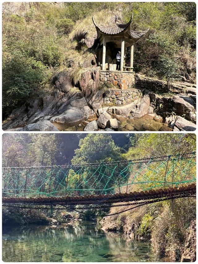 在大奇山國家森林公園偶遇“神秘生物”，你猜是啥？