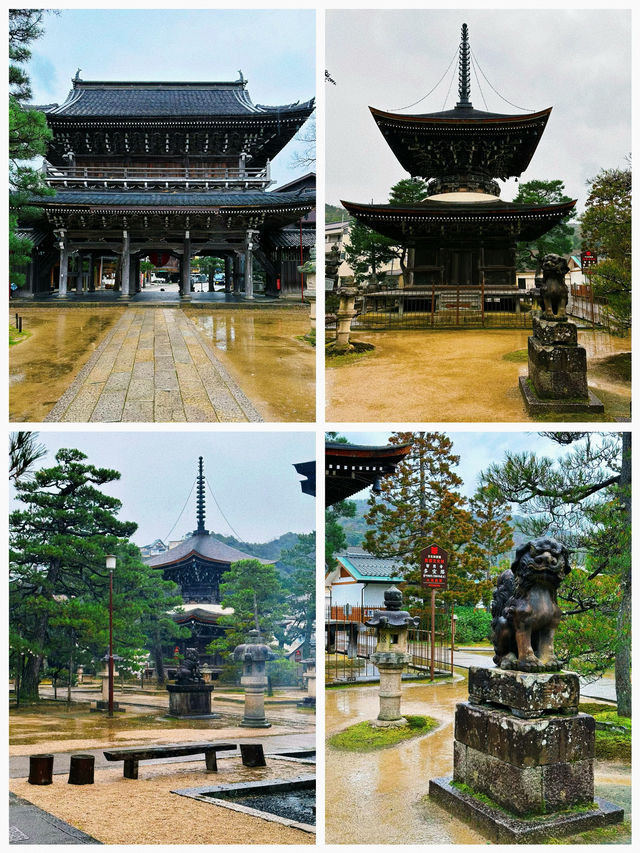 日本之旅·天橋立｜純玩一日遊攻略飛舞上天的飛龍奇觀