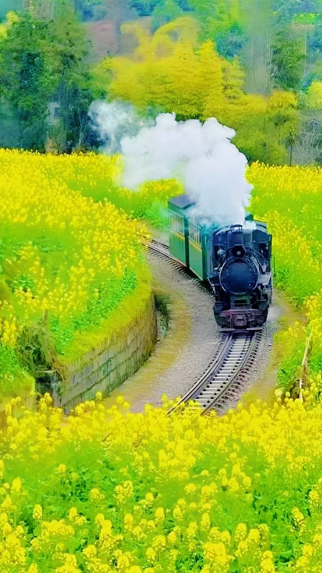 「乘坐嘉陽小火車，保證會令你驚喜！」