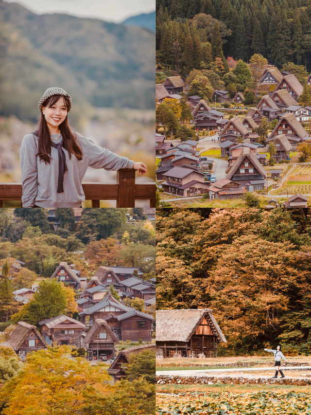 日本寶藏景點｜「世界遺產」白川鄉旅行攻略