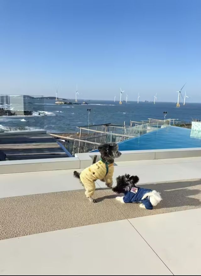 春節在平潭連住五天海景民宿┃強推