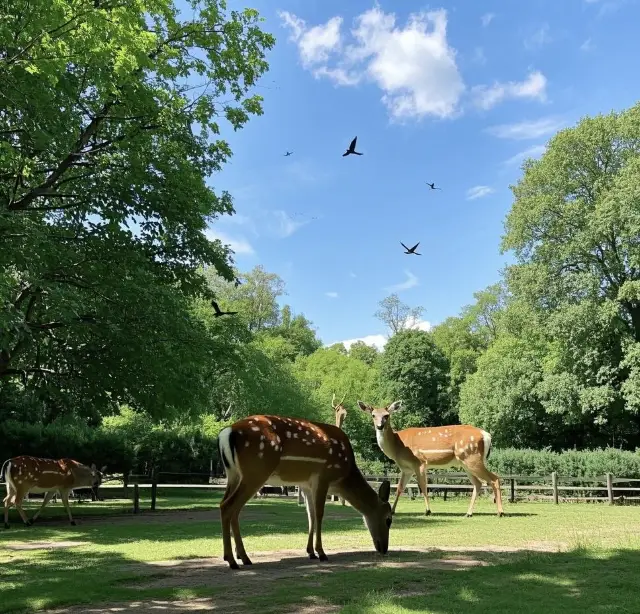 Changchun Zoological and Botanical Park: A Wonderful World of Nature