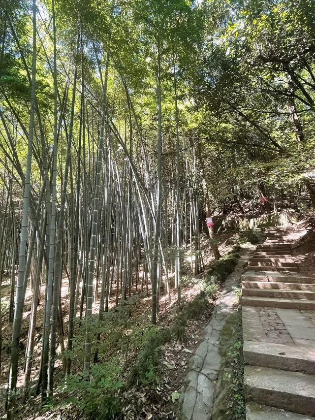 小長假暢遊九寨溝—黃龍風景名勝區全攻略