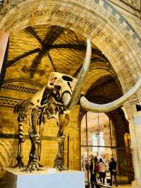 From Screen to the UK's Museum Amazing