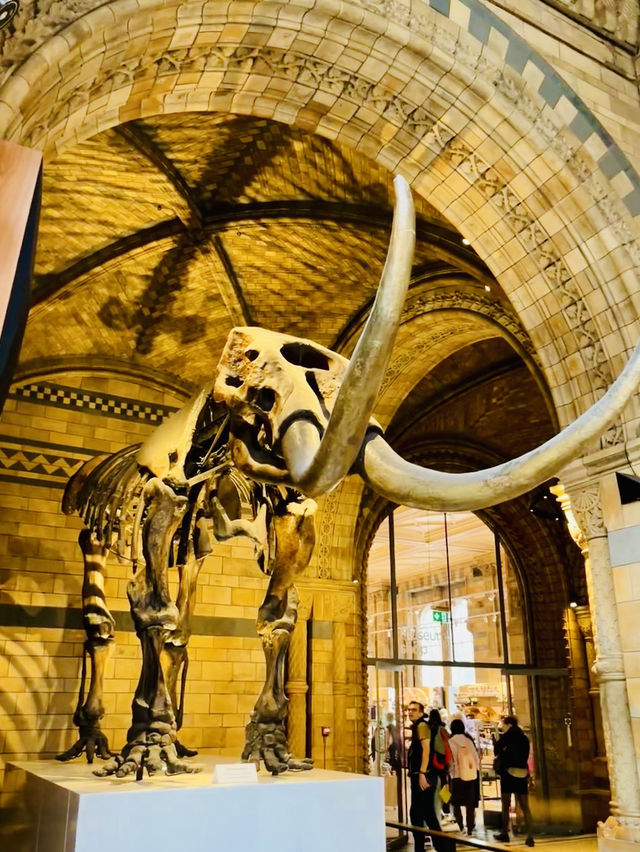 From Screen to the UK's Museum Amazing