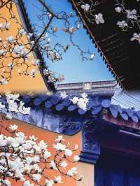 金陵靈谷寺：春日賞花踏青不容錯過