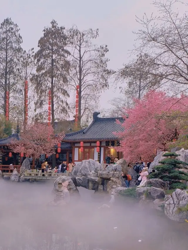 สวนซากุระทะเลสาบตะวันออก: การเดินทางในฝันสีชมพู