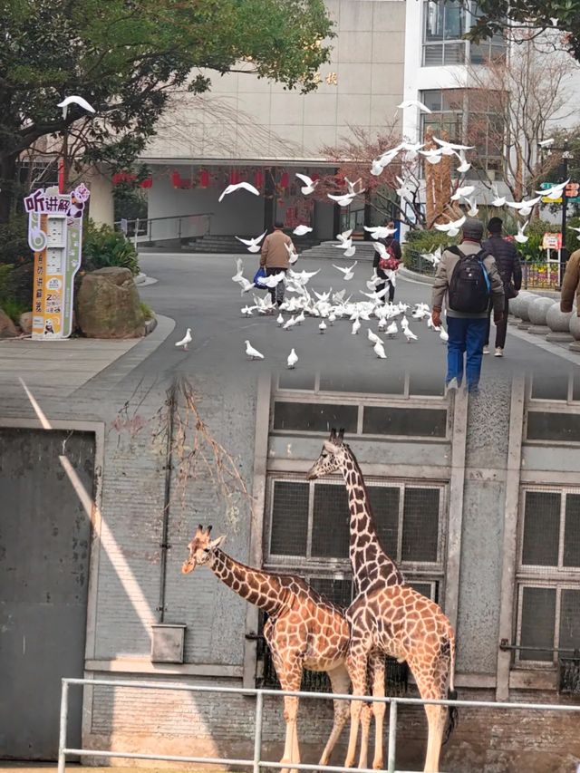 魔都新晉復古樂園，原圖直出都能刷爆朋友圈！