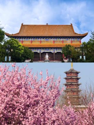 Suqian revisited, highly recommended by locals.