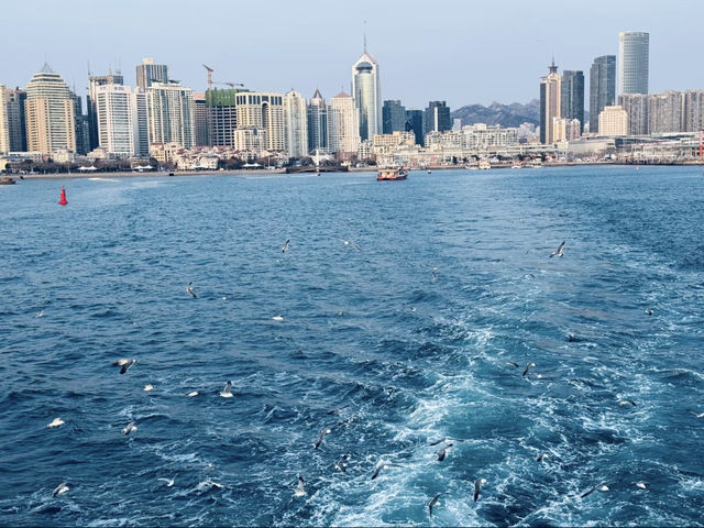 青島超詳細旅遊攻略，帶你嗨玩浪漫海濱之城