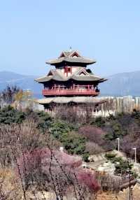園博園春曉