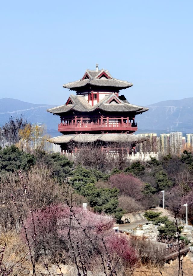 園博園春曉
