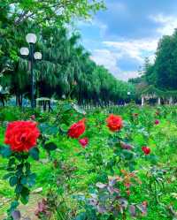 3月，一定要去一趟東湖公園！