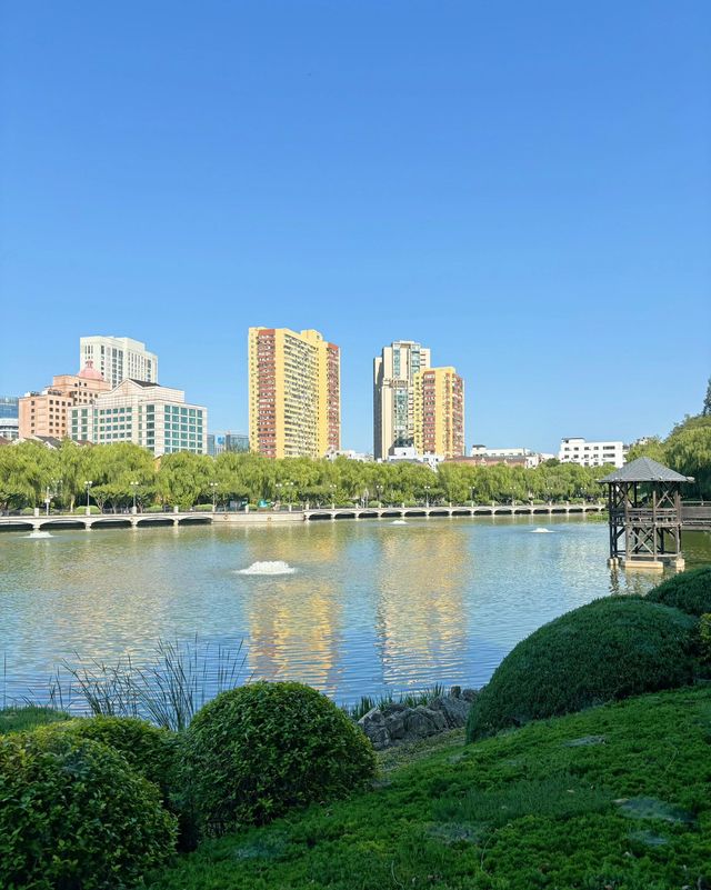大連兒童公園超詳細攻略，帶娃賞景兩不誤