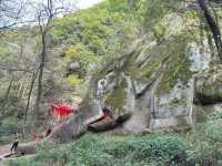 探索丛林深處的神秘“七層妖塔”