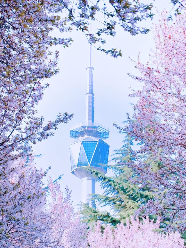 3月必去！咸陽鄭國渠！