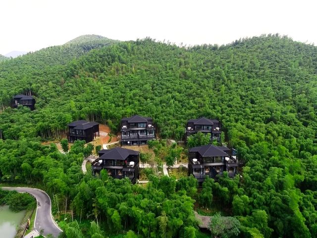 入住湖州長頸鹿莊園酒店，開啟一段夢幻之旅