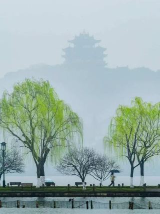 강남의 안개비 — 서호의 봄