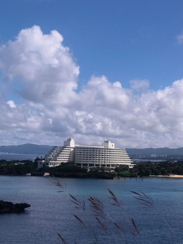 日本5日遊人均4k不香嗎