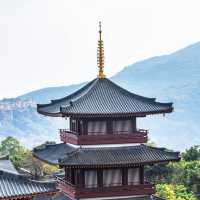 深圳大華興寺 | 拜過四面觀音，才懂什麼叫佛光普照🙏✨